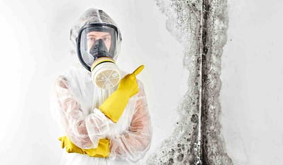 mold removal in Woodbridge