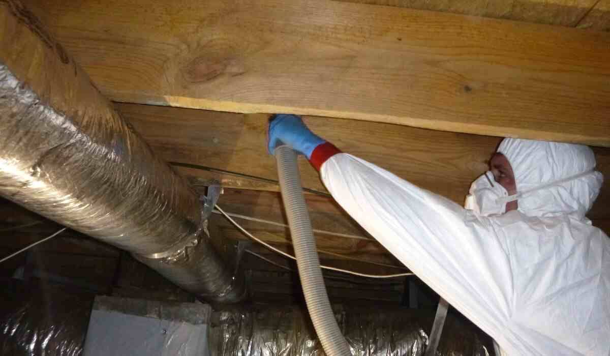 Know these 5 Causes of Mold Growth in Basements