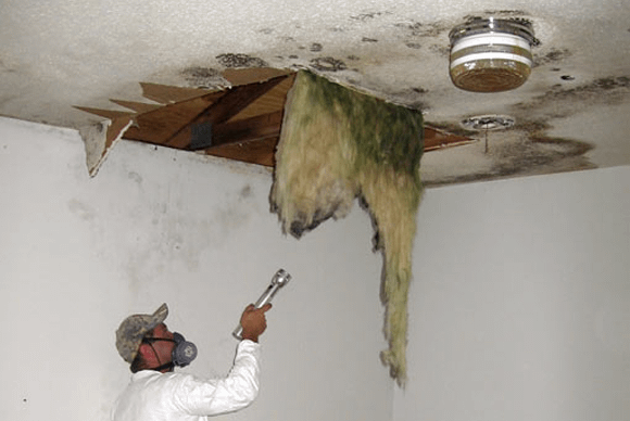 Employee inspecting for mold in ceiling.