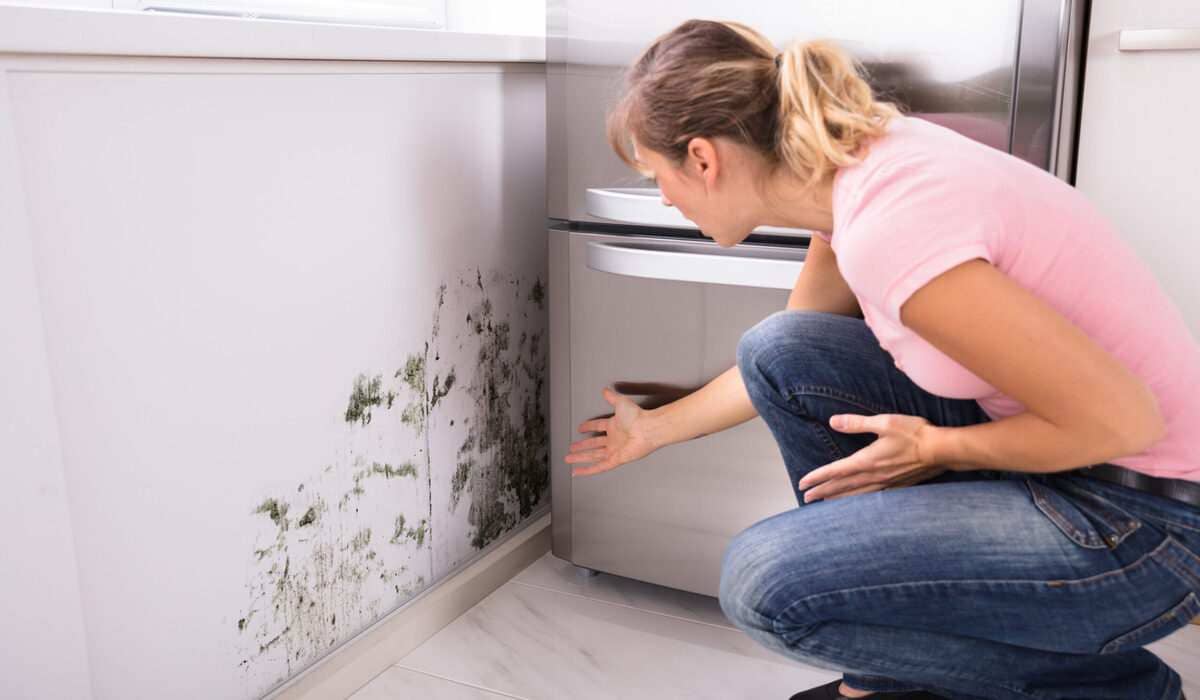 Frequent Mold Growth in Your House? Here are 5 Possible Causes