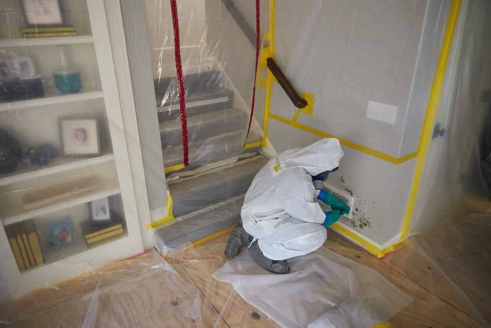 Preparing Your Home for Professional Mold Removal 101