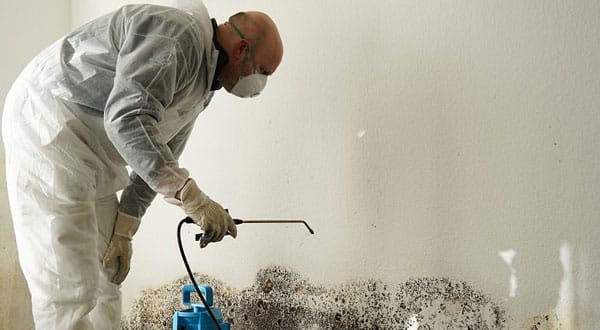 Know the Benefits of Mold Inspection