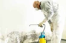 mould removal in Toronto