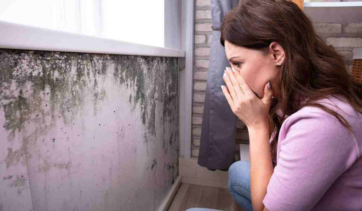 Causes Of Mold Spores In the House