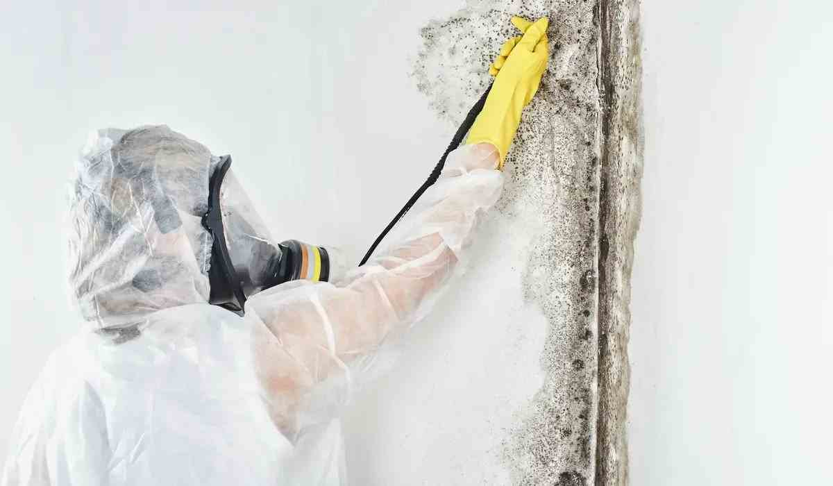 4 Foolproof Ways to Prevent Mold Growth in Your Home