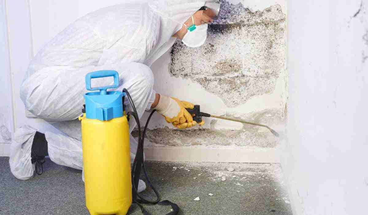mold removal in Toronto