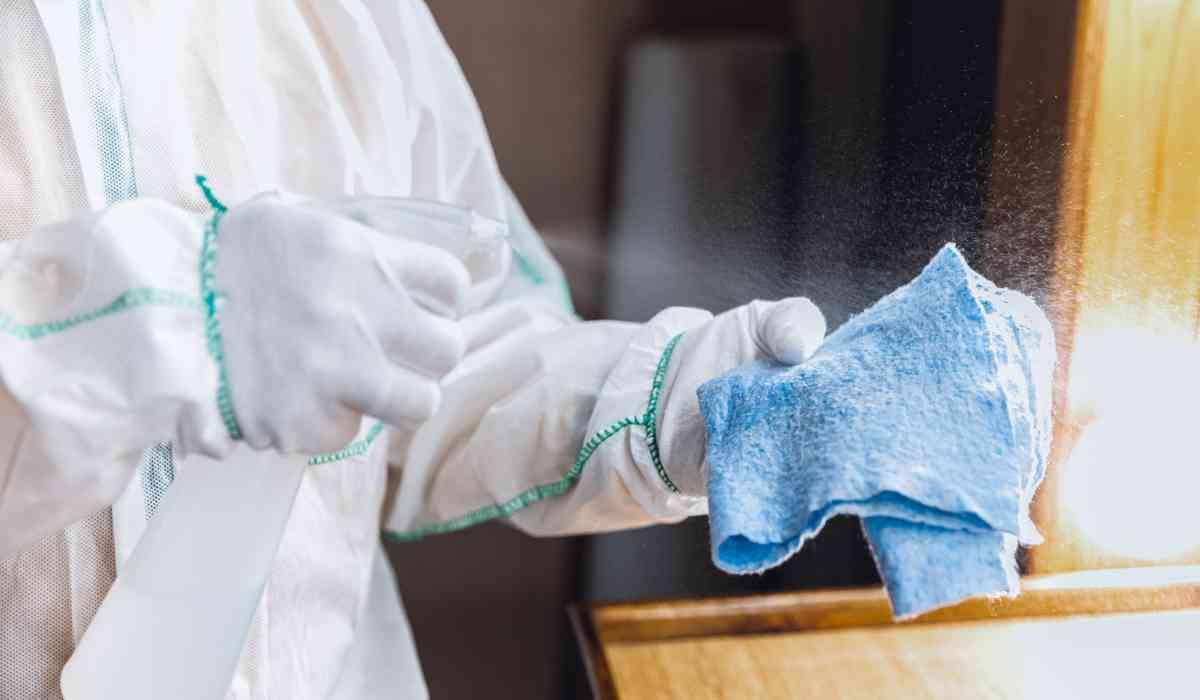 mold remediation companies in Toronto
