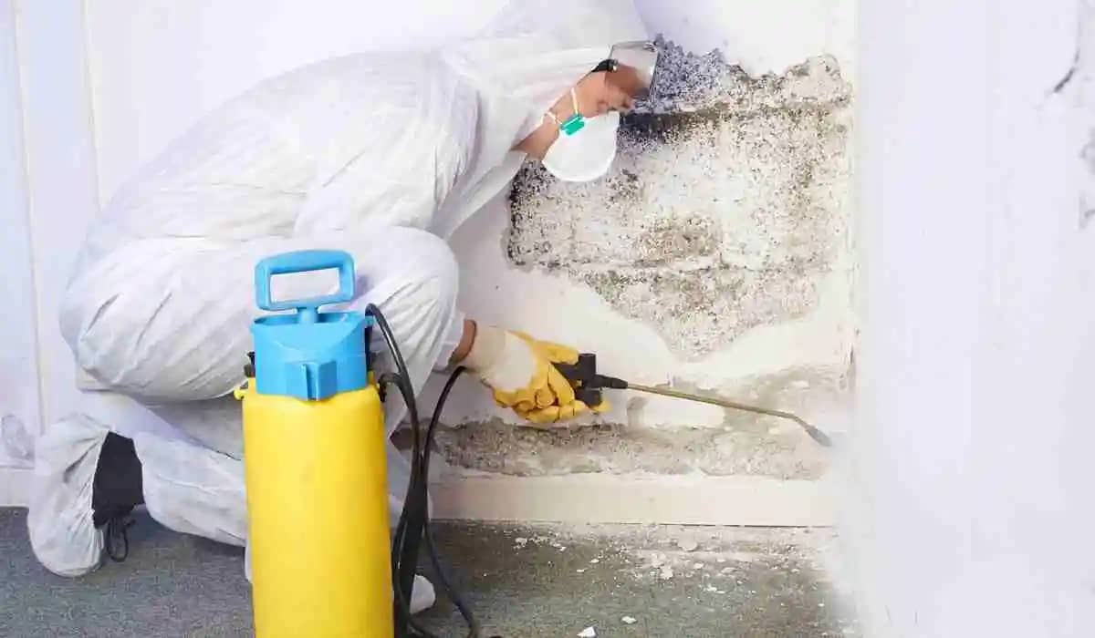 causes of mold growth