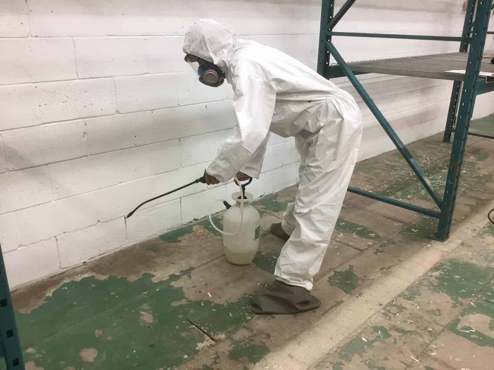 mould removal specialist spraying a building in Toronto
