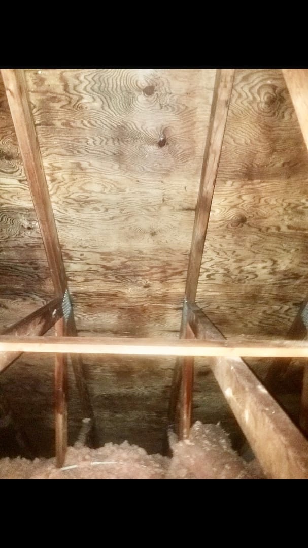 mold in an attic that is about to be removed