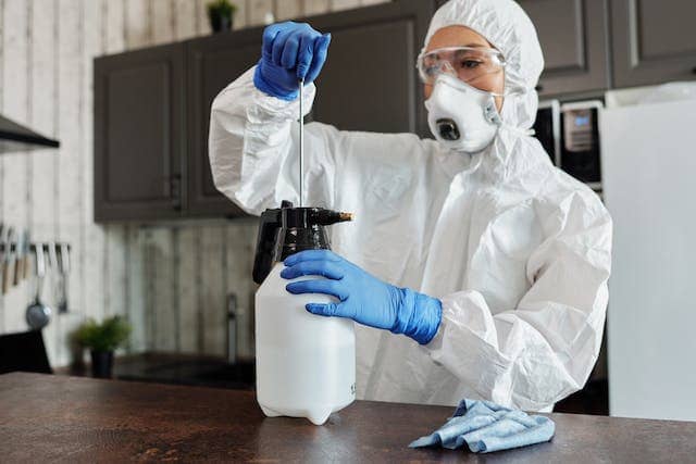 mold removal services - absolute mold remediation ltd - toronto