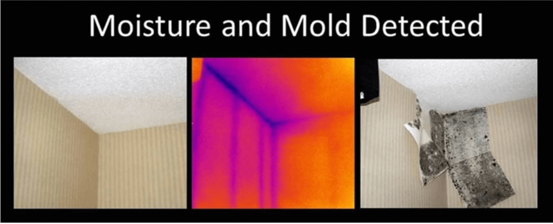 Infrared Thermal Imaging detection
