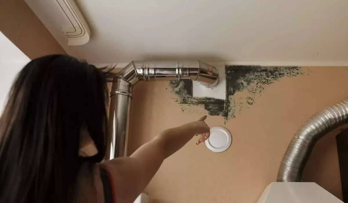5 Popular Myths and Facts About Mold You Should Know