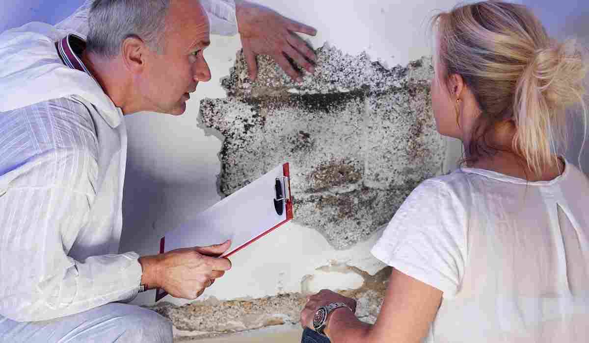 4 Reasons You Should Remove Mold Right Now