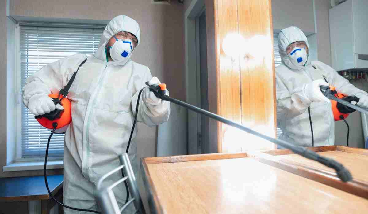 Need Mold Removal? Look for These 4 Qualities in an Expert