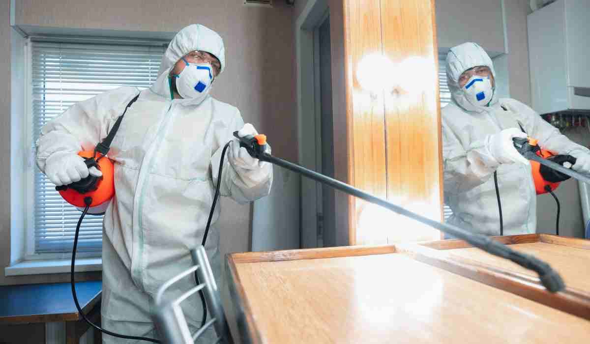 The dangers of DIY mold removal: why it’s best to leave it to the professionals