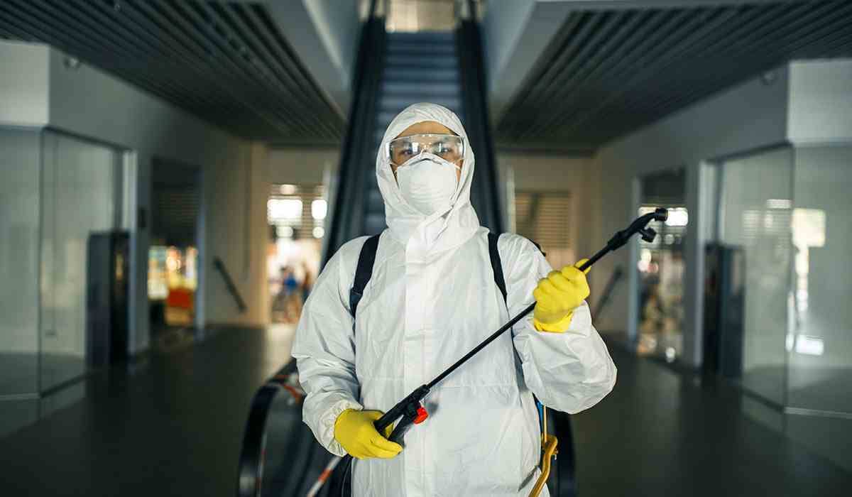 5 Things You’ll Want to Consider Before Hiring a Mold Removal Company