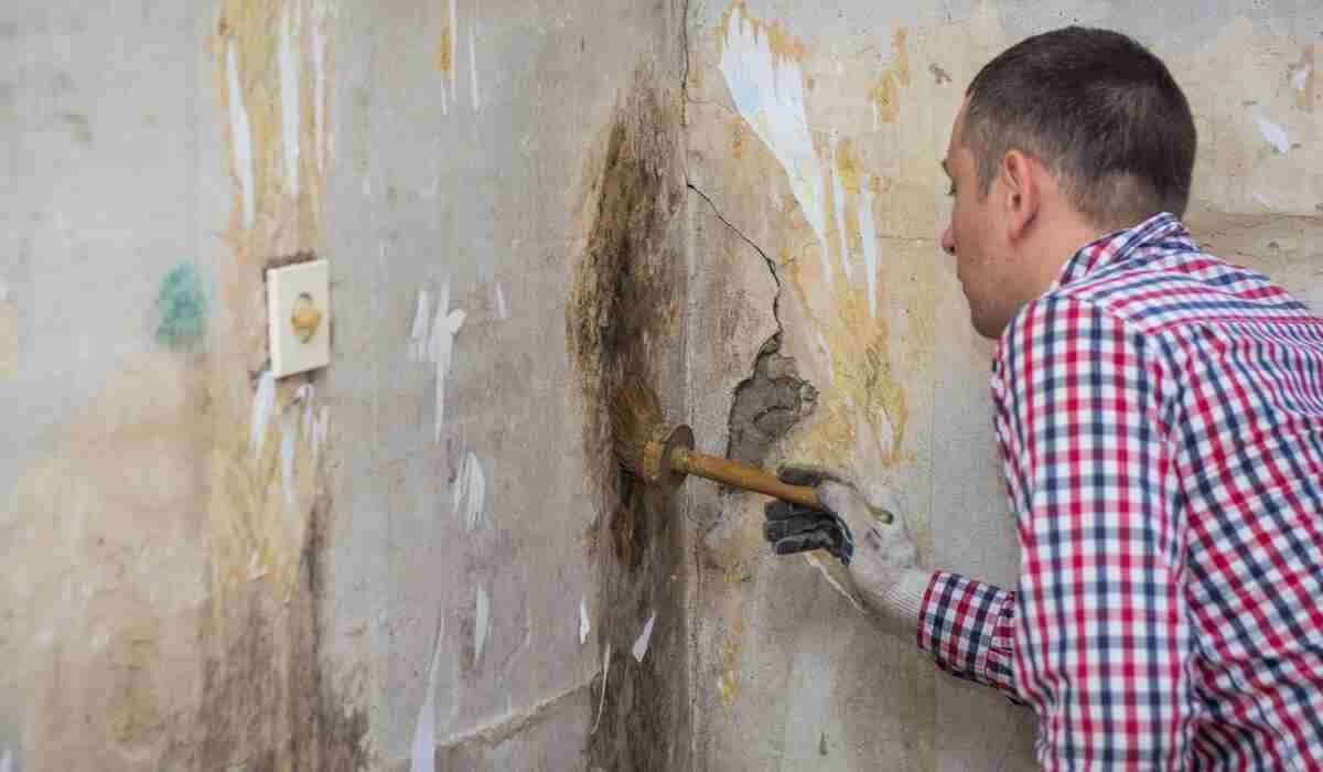 How to Prepare Your House for Professional Mold Removal