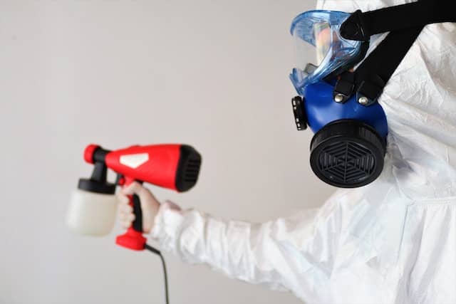 Top 6 Mold Resistant Materials You Should Use for Your Home